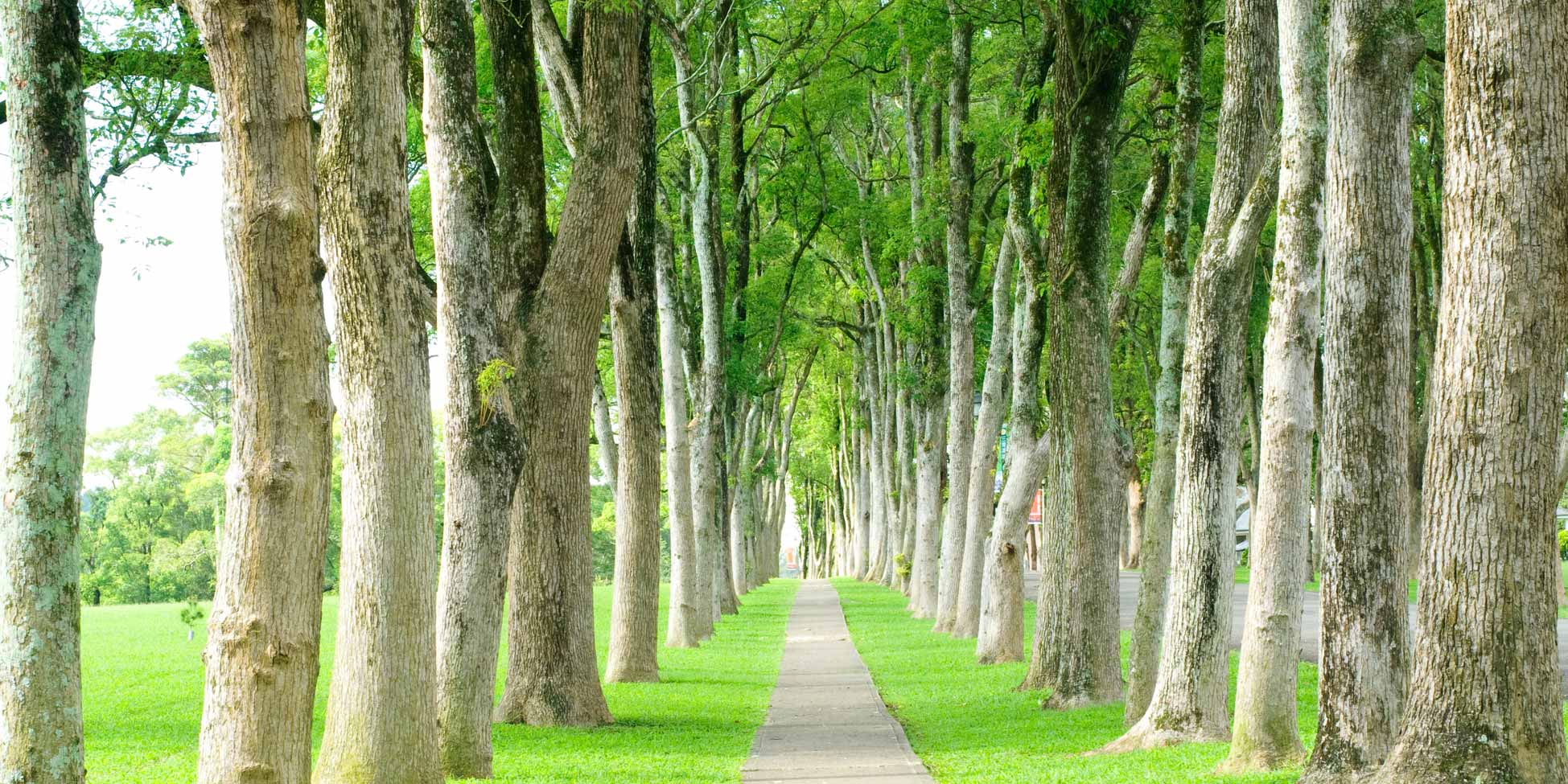 Vision Mission And Values The Strategy Group Llc