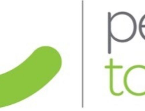 Development Director – Grants | Person to Person